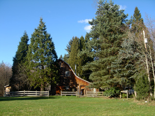 Bear Creek Studio!